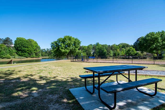 Tranquil Picnic Area